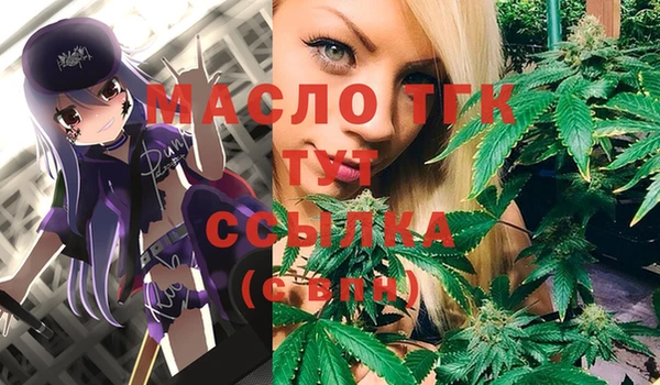 мдпв Ладушкин