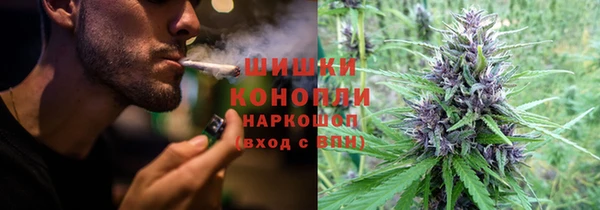 прущая мука Алзамай